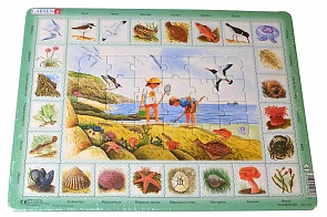 Обучающий пазл – Побережье, русский, 48 деталей (Larsen, NA2)